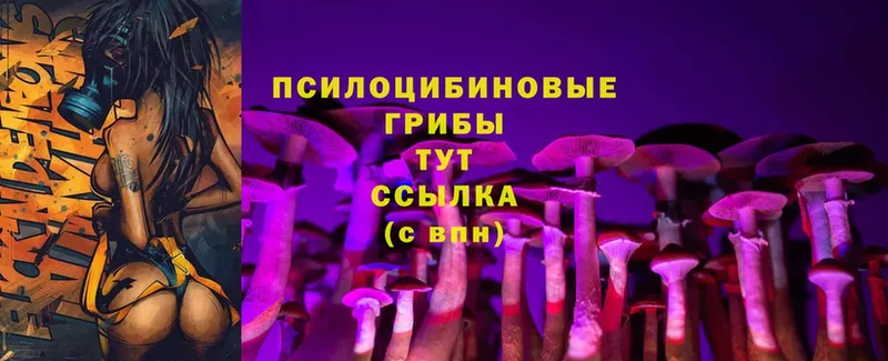 Псилоцибиновые грибы Psilocybine cubensis  blacksprut рабочий сайт  Лодейное Поле  где купить  